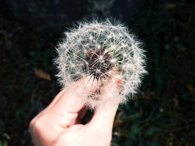 Дабова трпезариска маса со челична база